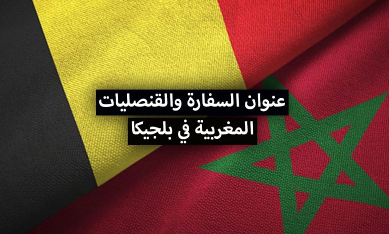 عنوان سفارة وقنصلية المغرب في بلجيكا + أرقام الهواتف