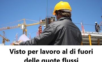 Il visto per motivi di lavoro: Guida 2021