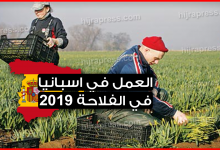 كل ما يجب عليك معرفته عن العمل في اسبانيا في الفلاحة 2022