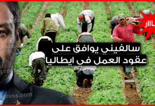 عقود عمل موسمية في ايطاليا 2022 - سالفيني يوافق على decreto flussi لجلب العمال الأجانب