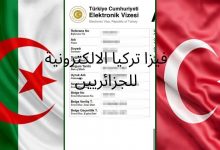 تأشيرة تركيا الالكترونية