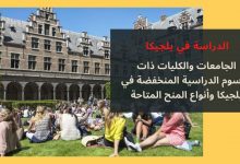 الدراسة في بلجيكا