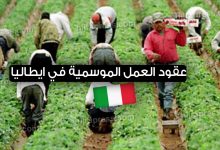 عقود العمل الموسمية في ايطاليا 2022