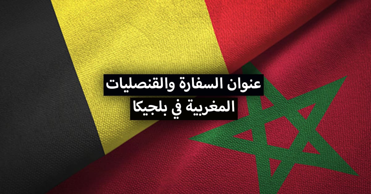 عنوان سفارة وقنصلية المغرب في بلجيكا + أرقام الهواتف