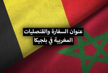 عنوان سفارة وقنصلية المغرب في بلجيكا + أرقام الهواتف