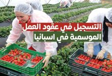 فرص عمل في إسبانيا للنساء من خلال موسم الفلاحة في اسبانيا 2023